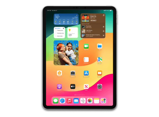 iPad Pro (11-inch, WiFi) (4th generation)
